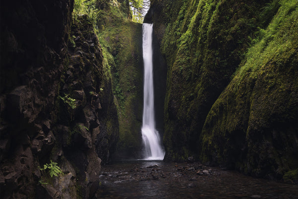 Pacific Northwest