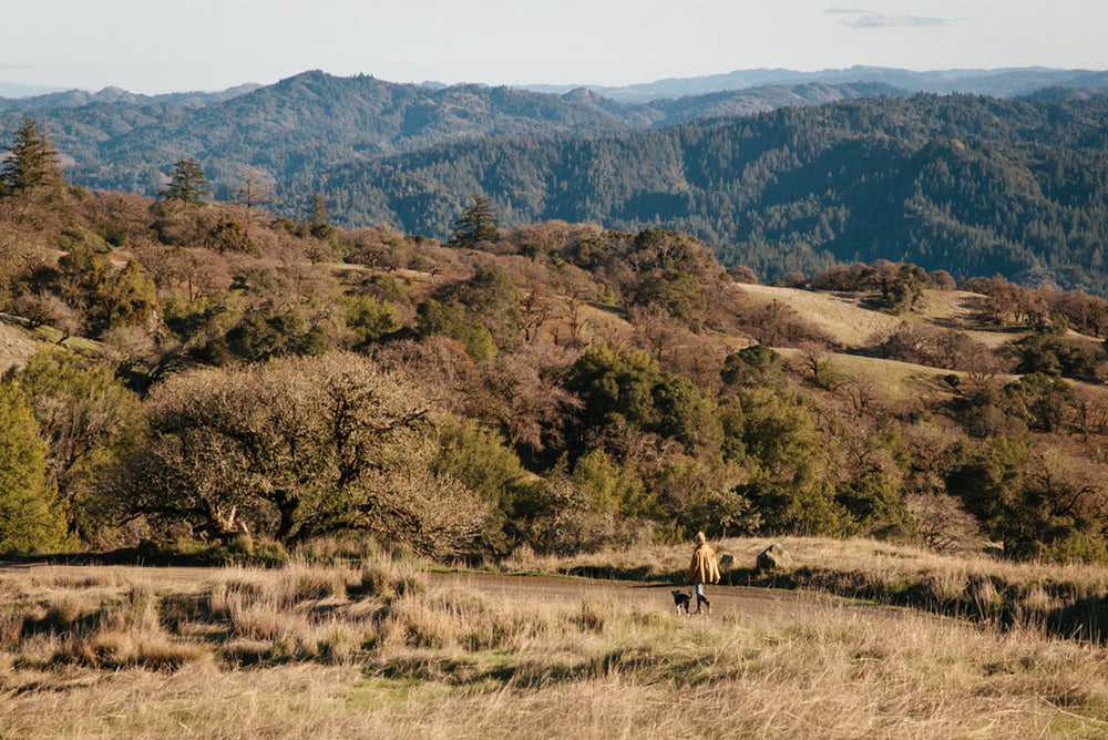 Mendocino