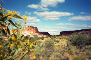 The Outback