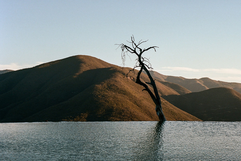 Oaxaca
