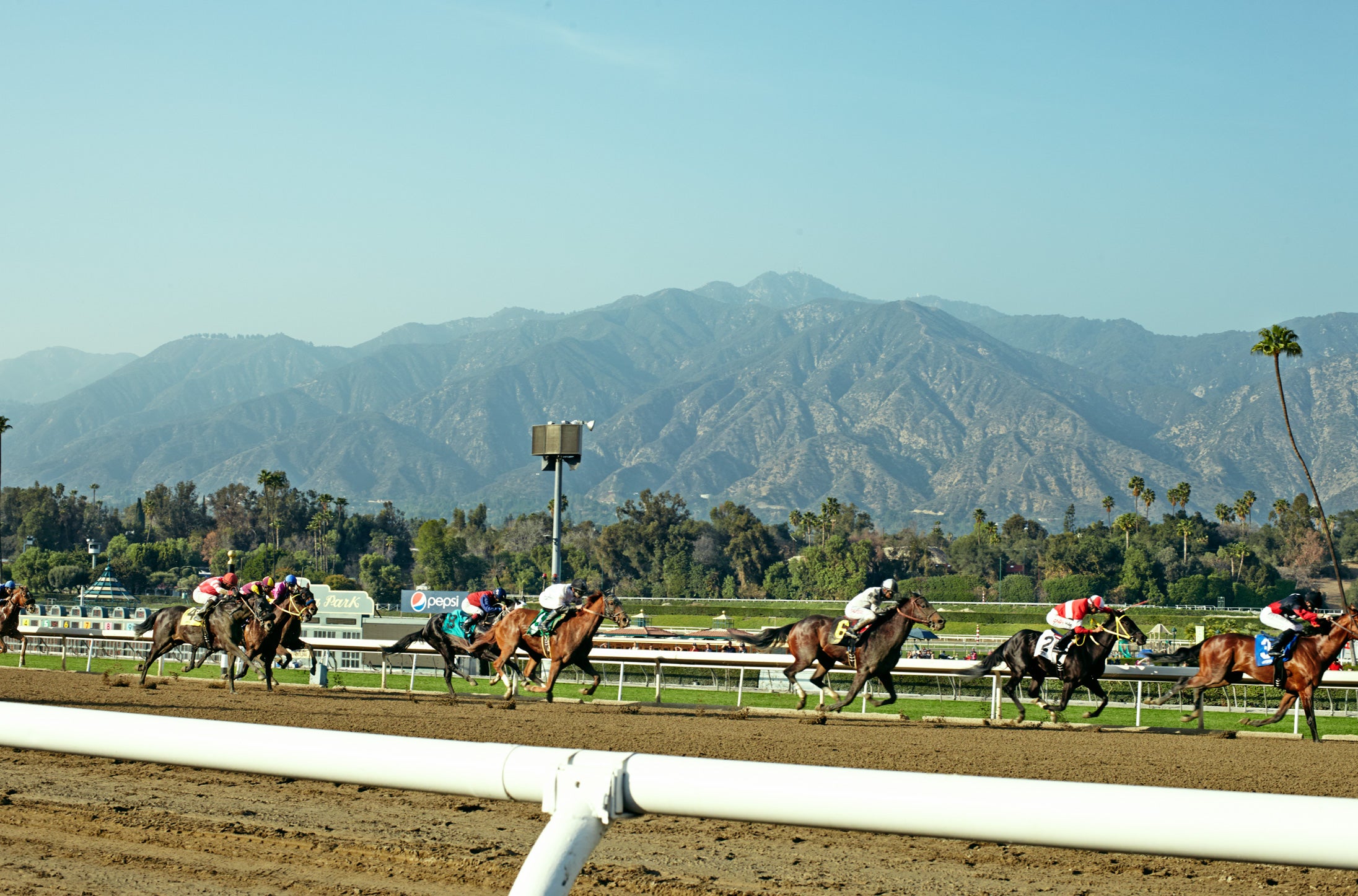 Santa Anita Race Track Garrett Leight