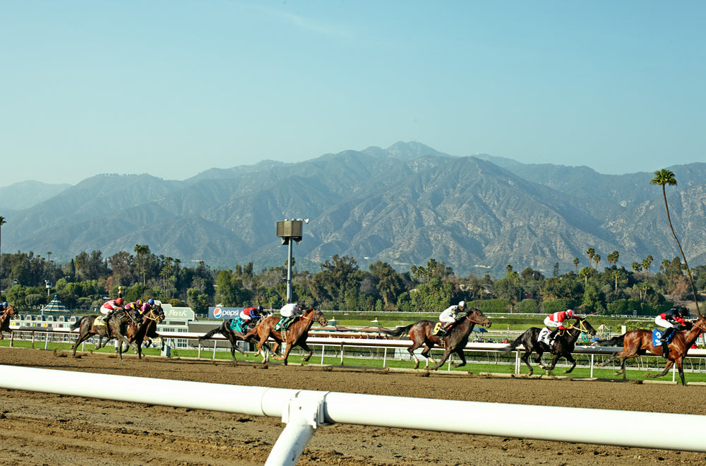 Santa Anita Race Track Garrett Leight santa-anita-race-track-garrett-leight