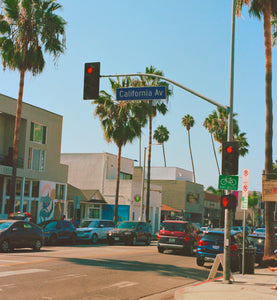 garrett leight california optical