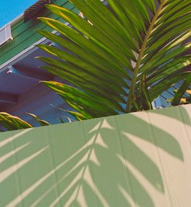 garrett leight california optical
