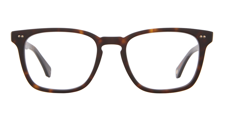 Matte Cookie Tortoise