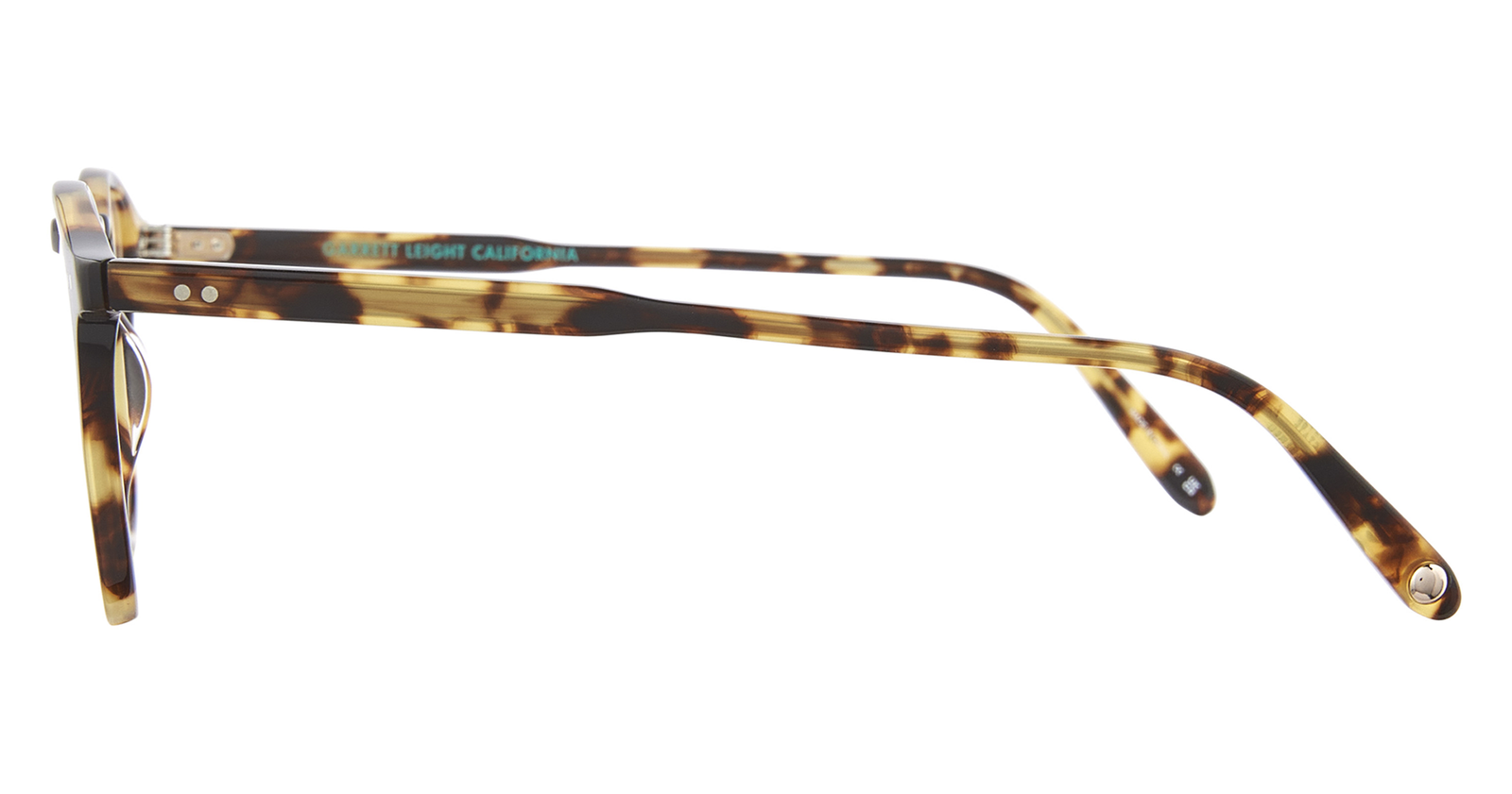 Bio Spotted Tortoise