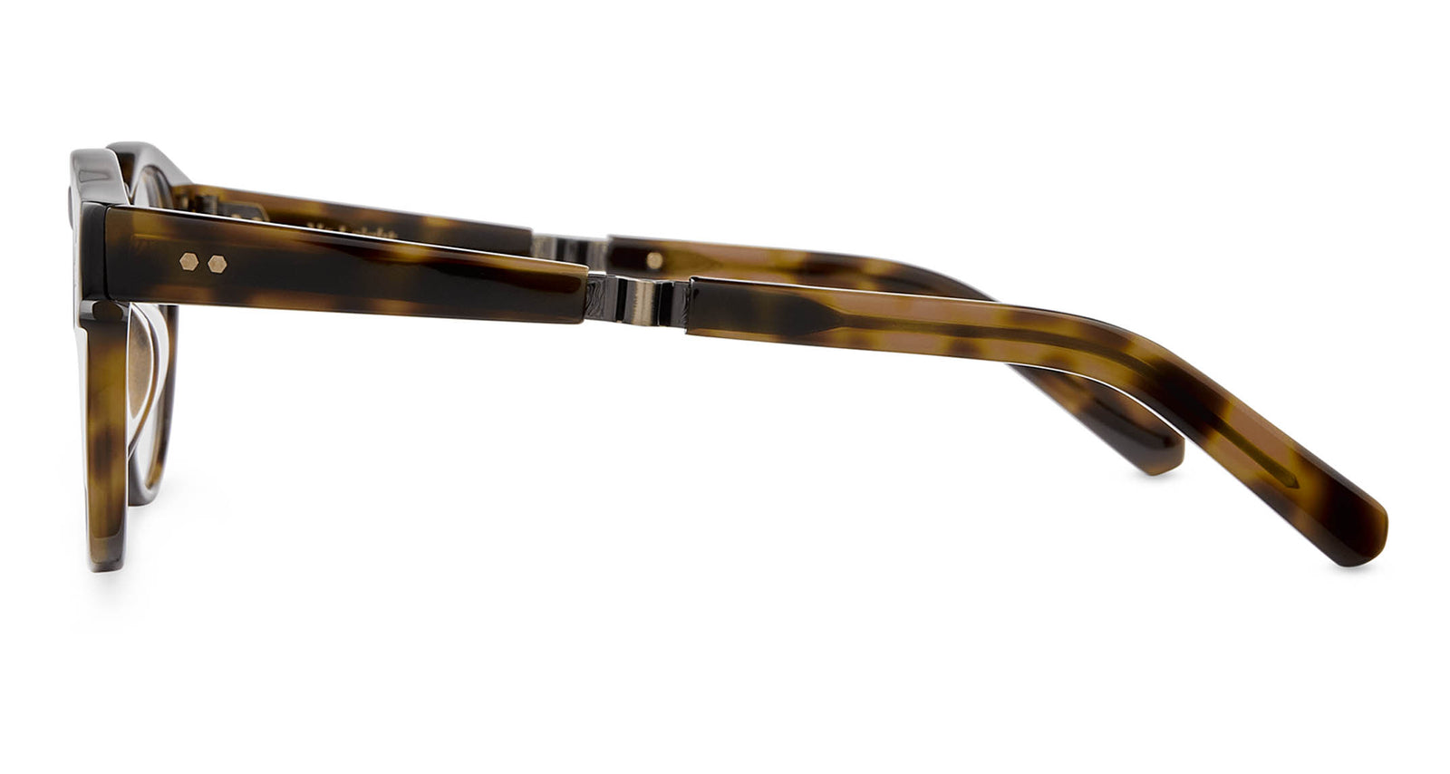 Yellowjacket Tortoise-Antique Gold