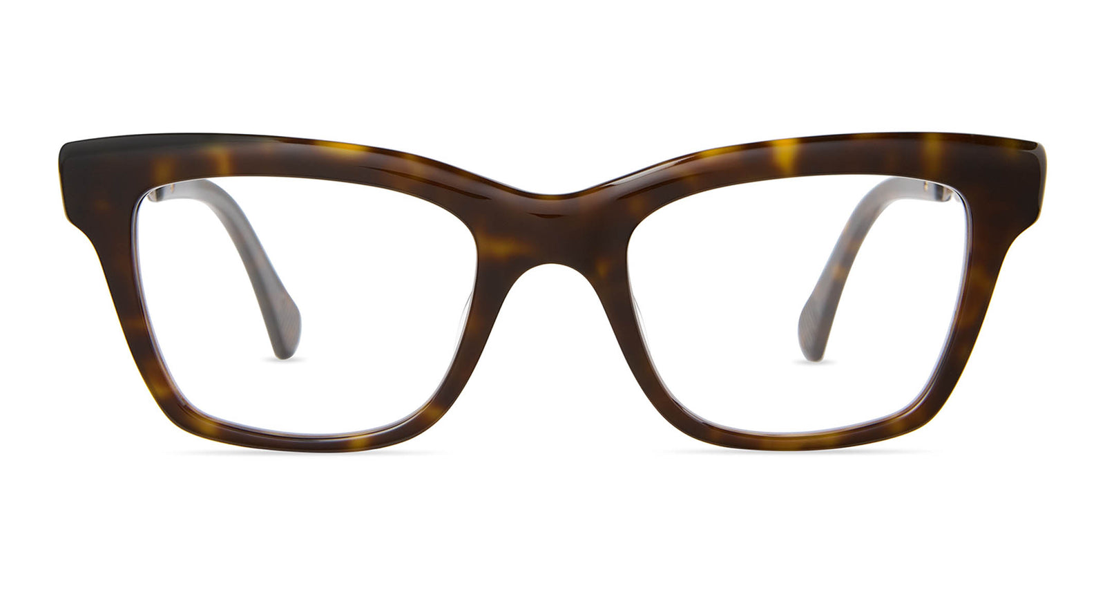 Hickory Tortoise-Chocolate Gold