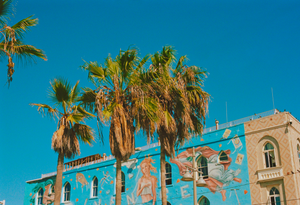 garrett leight california optical