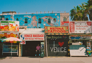 garrett leight california optical