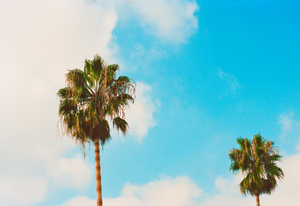 garrett leight california optical