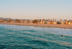 garrett leight venice