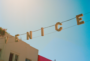 garrett leight california optical