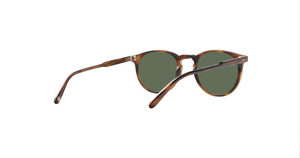 Spotted Brown Shell