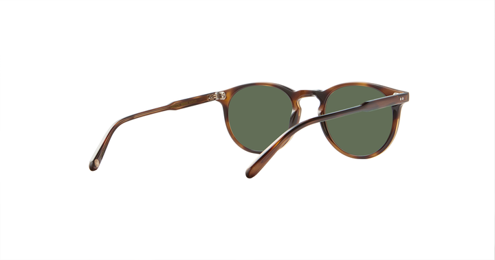 Spotted Brown Shell/G15