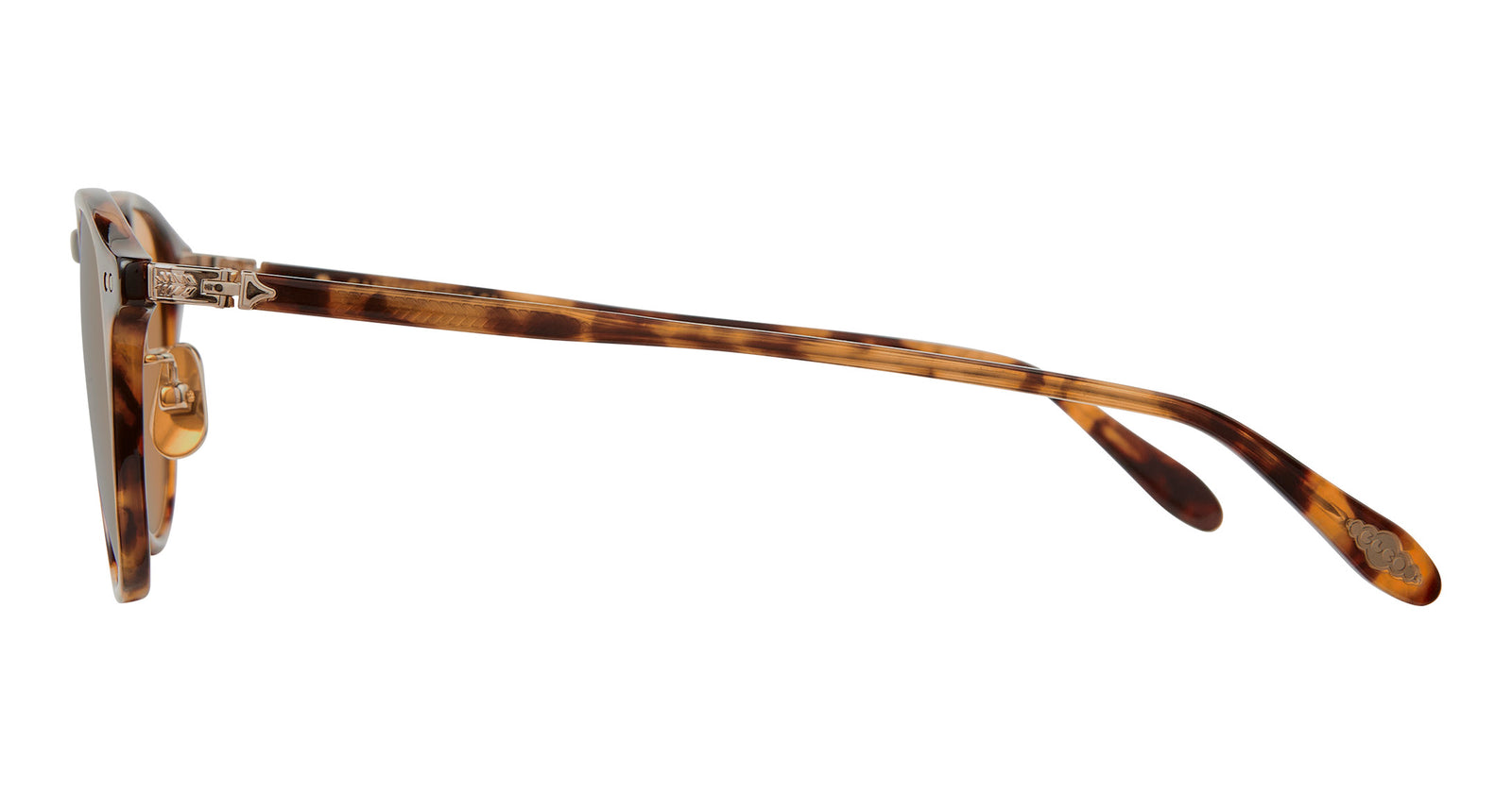 Autumn Tortoise/Pure Maple