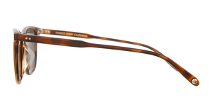 Spotted Brown Shell
