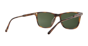 Spotted Brown Shell