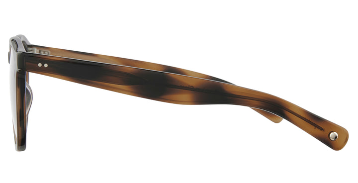 Spotted Brown Shell/Auburn