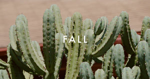 garrett leight fall sunglasses and eyeglasses collection