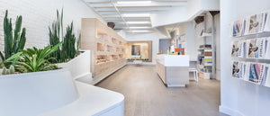 garrett leight grand soho new york store