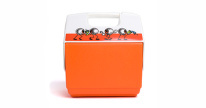 Orange White