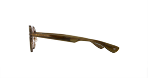 Olive Tortoise