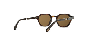 Hickory Tortoise