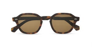 Hickory Tortoise