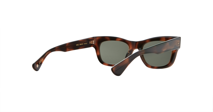 Spotted Brown Shell/G15