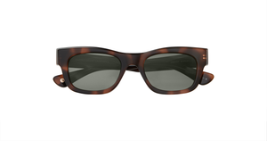 Spotted Brown Shell
