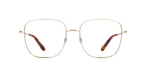 Gold-Honey Tortoise