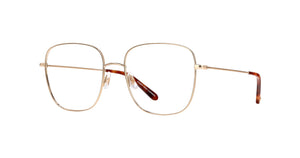 Gold-Honey Tortoise