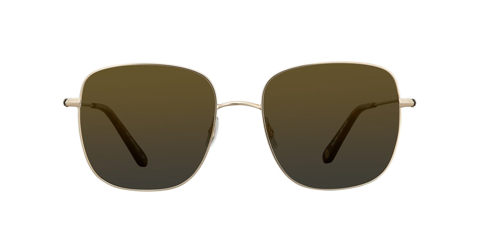 Gold-Honey Tortoise