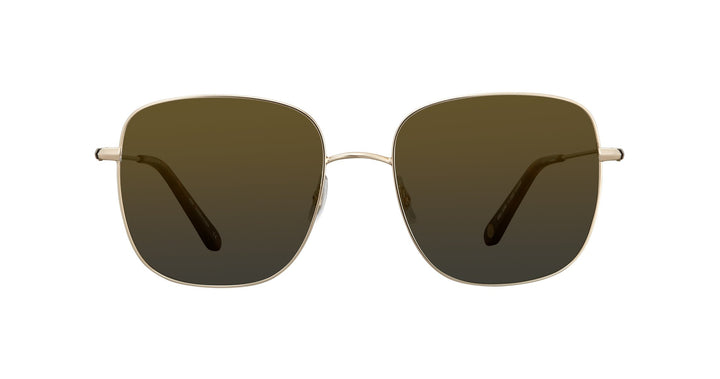 Gold-Honey Tortoise
