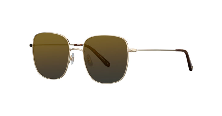 Gold-Honey Tortoise